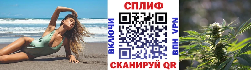 Где купить наркоту Дагестанские Огни МДМА  Alpha PVP  МЕФ  Конопля  Гашиш 