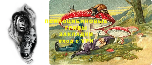 a pvp Горнозаводск