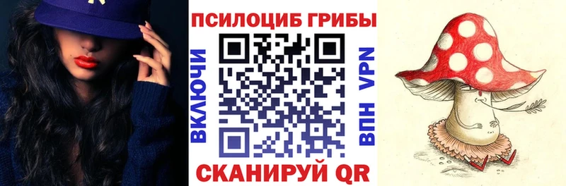 Галлюциногенные грибы GOLDEN TEACHER  купить   Дагестанские Огни 