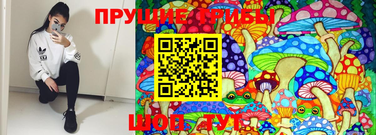 Дагестанские Огни  Псилоцибиновые грибы мухоморы  Вход с VPN 